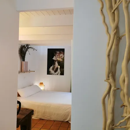 Le Moulin De La Pipe فندق Plan-de-Baix